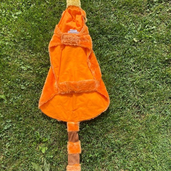 21-(1love)Tigger For Your Pooch - Picture 15 of 16